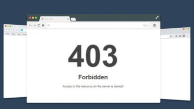 رفع خطا 403 در وردپرس