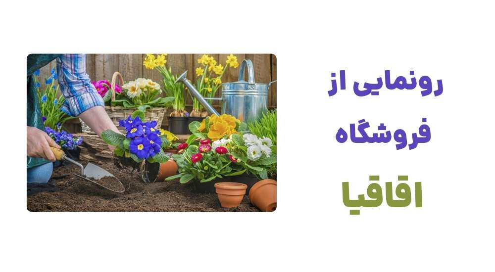 رونمایی از فروشگاه اقاقیا