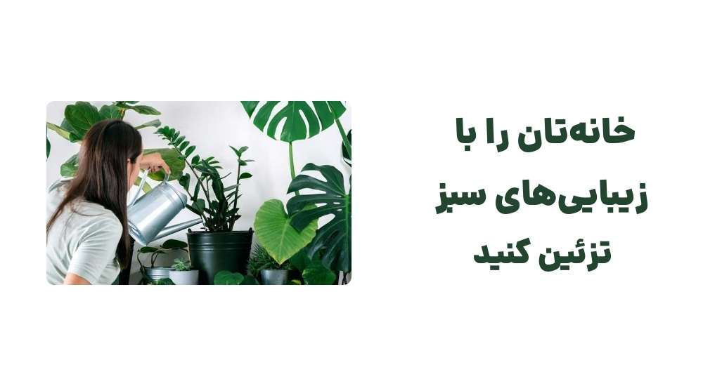 خانه_تان را با زیبایی_های سبز تزئین کنید