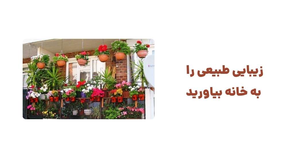 زیبایی طبیعی را به خانه بیاورید