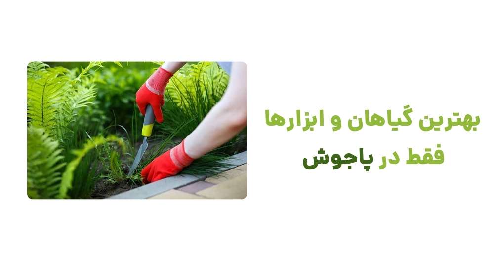 بهترین گیاهان و ابزارها فقط در پاجوش