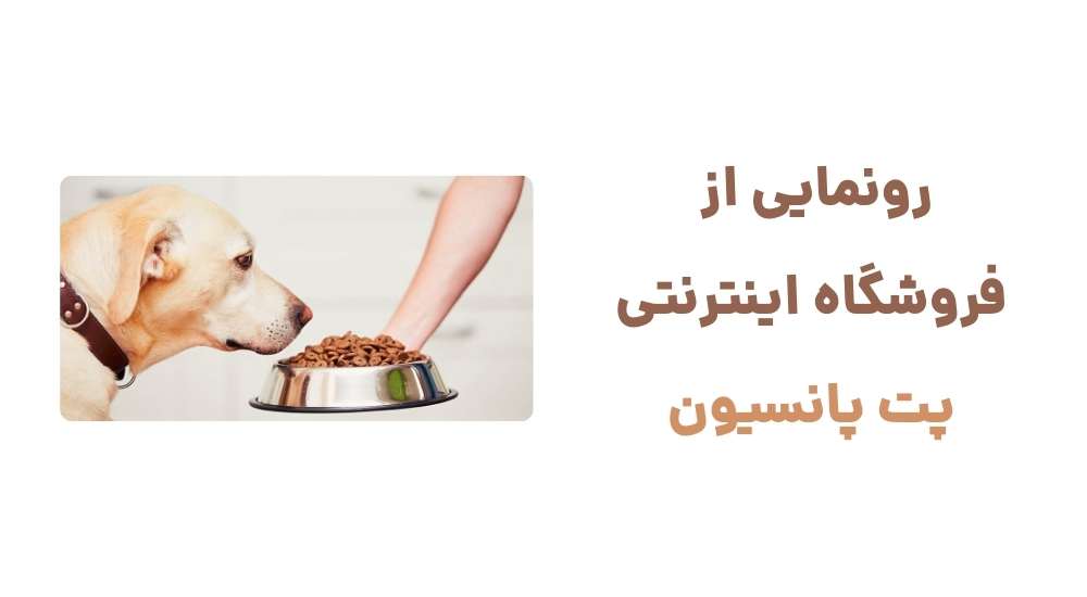 رونمایی از فروشگاه اینترنتی پت پانسیون