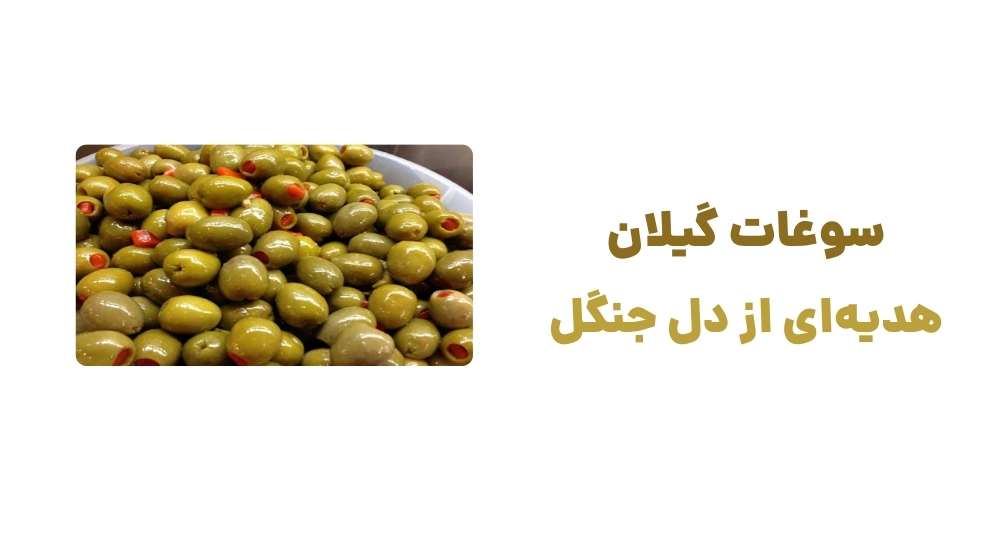 سوغات گیلان، هدیه_ای از دل جنگل