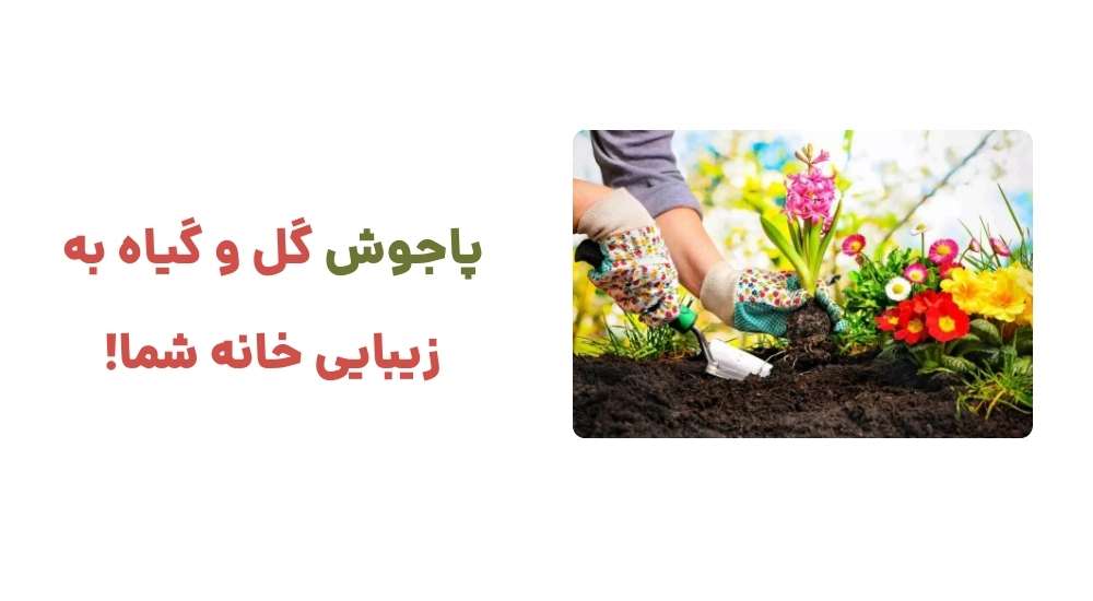 پاجوش؛ گل و گیاه به زیبایی خانه شما!