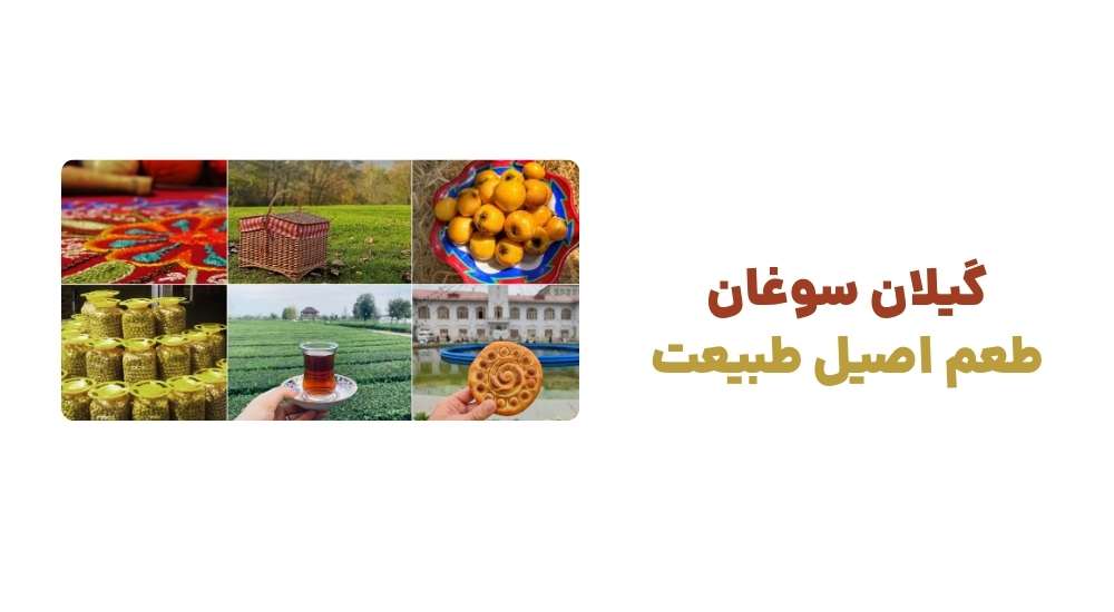 گیلان سوغان طعم اصیل طبیعت