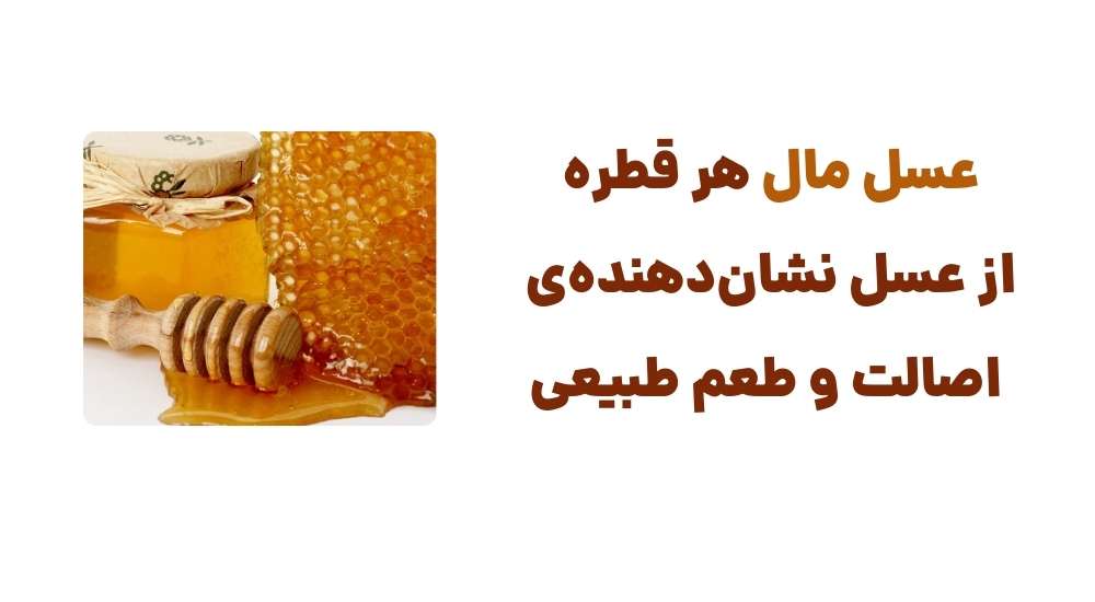 عسل مال هر قطره از عسل، نشان_دهنده_ی اصالت و طعم طبیعی