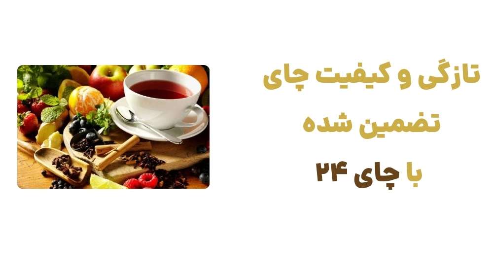 تازگی و کیفیت چای، تضمین شده با چای 24