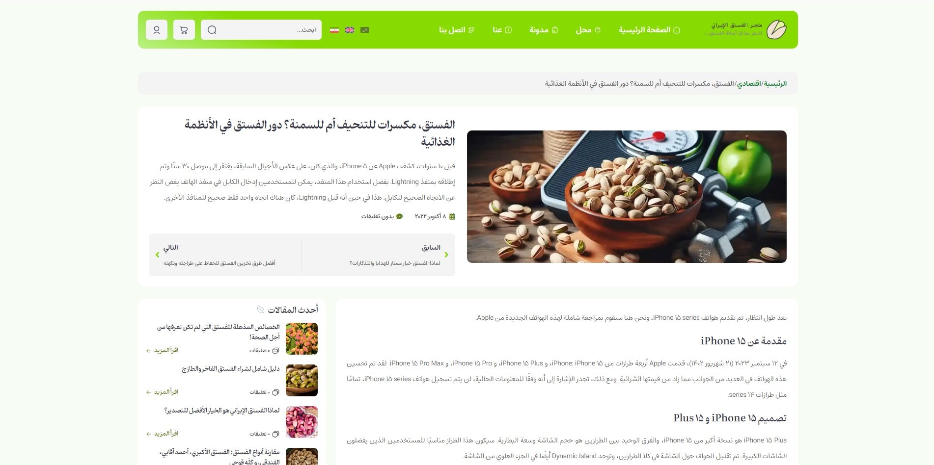 سایت آماده چند زبانه فروشگاه پسته