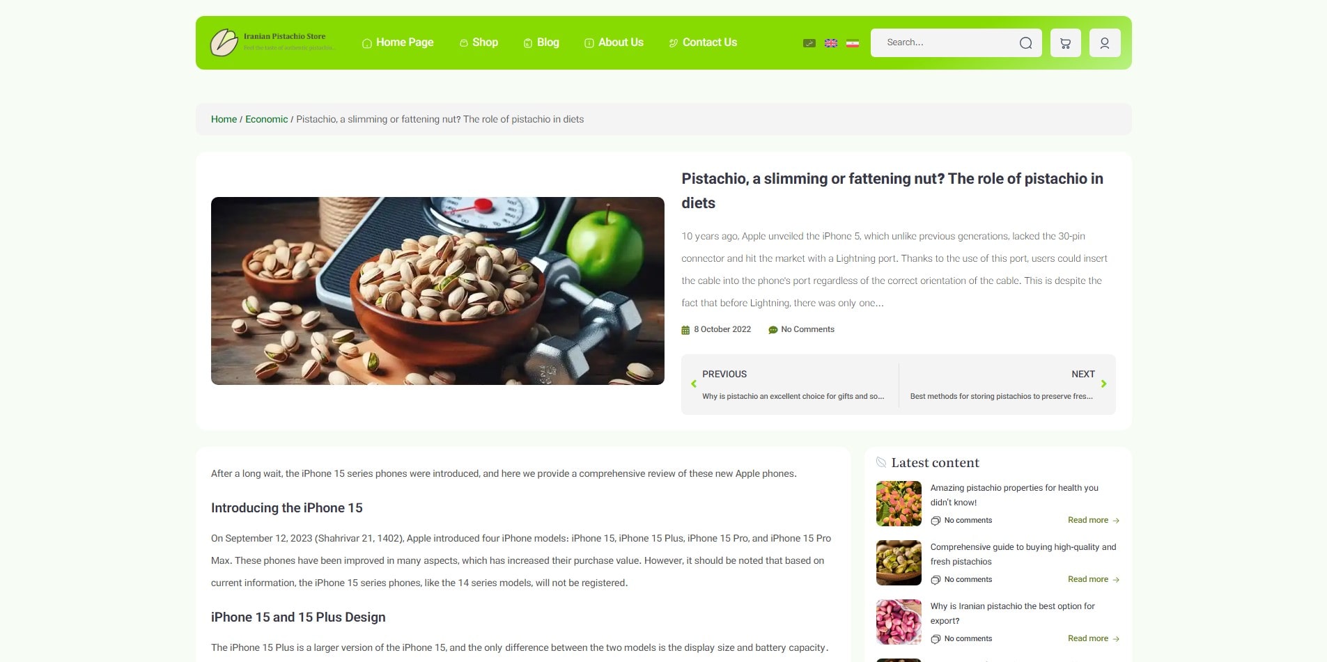 سایت آماده چند زبانه فروشگاه پسته